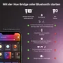 Philips Hue White & Color Ambiance Ensis Deckenleuchte Pendelleuchte weiß