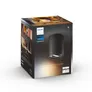 Philips Hue White Ambiance Pillar Einzelspot schwarz • Erweiterung