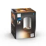 Philips Hue White Amb. Pillar Spot 1 flg. weiß 350lm inkl. Dimmschalter