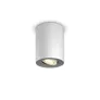 Philips Hue White Amb. Pillar Spot 1 flg. weiß 350lm inkl. Dimmschalter