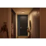 Philips Hue White Ambiance Enrave Deckenleuchte rund weiß + Dimmschalter • S