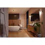 Philips Hue White & Color Ambiance Xamento Deckenleuchte rund schwarz • M