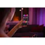 Philips Hue White & Color Ambiance Perifo • Erweiterungspendel schwarz
