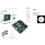 ASUS Pro Q670M-C-CSM mATX Mainboard Sockel 1700 M.2/HDMI/2xDP