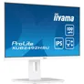 iiyama ProLite XUB2492HSU-W6 60,5cm (23,8") FHD IPS Monitor HDMI/DP/USB 100Hz
