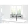 Hama 00118491 Monitorhalterung, 2 Monitore, höhenverstellbar, schwenk-/neigbar, 13“ - 32