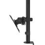 Hama 00118491 Monitorhalterung, 2 Monitore, höhenverstellbar, schwenk-/neigbar, 13“ - 32