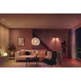 Philips Hue White & Color Ambiance Argenta Deckenleuchte weiß • 2er-Spot