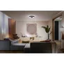 Philips Hue White & Col. Amb. Infuse Deckenleuchte L schwarz 3.450 lm