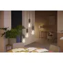 Philips Hue White Ambiance E27 Einzelpack Globe G93 Filament 550lm