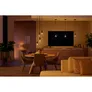 Philips Hue White Ambiance E27 Einzelpack Globe G93 Filament 550lm