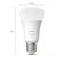 Philips Hue White E27 Doppelpack 2x1055lm 75W