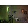 Philips Hue White & Col. Amb. Liane Wandleuchte schwarz 900lm