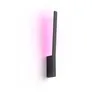 Philips Hue White & Col. Amb. Liane Wandleuchte schwarz 900lm
