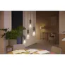 Philips Hue White Ambiance E27 Einzelpack Giant Edison ST72 Filament 550lm