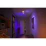 Philips Hue White & Color Ambiance BT Centris Spot 2 flg. weiß inkl. Dimmswitch