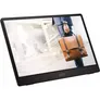 MSI Pro MP161DE E2 39,6cm (15,6") FHD IPS Mobiler Monitor 16:9 HDMI/USB-C (DP)