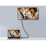EQUIP 133467 USB-C auf DisPlayPort Kabel Stecker auf Stecker, 1.8m