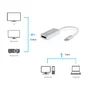 EQUIP 133458 USB-C auf DisplayPort Adapter, 4K/60Hz