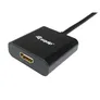 EQUIP 133438 DisplayPort auf HDMI Adapter