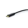 EQUIP 133469 USB C auf  Dual 3,5 mm Kopfhörer DAC Adapter