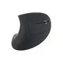 EQUIP 245110 Ergonomische Schnurlosmaus