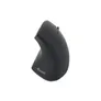 EQUIP 245110 Ergonomische Schnurlosmaus