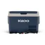 Igloo ICF32 Kompressor-Kühlbox (AC/DC, EU Version)