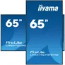 iiyama ProLite LH6575UHS-B1AG 163,8cm (64,5") 4K UHD Monitor LED HDMI/DP