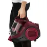 Rowenta Swift Power Cyclonic RO2933