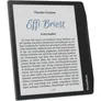 PocketBook Era Color Stormy Sea eReader mit 300 DPI 32GB DACH Version
