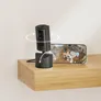RING Pan-Tilt Indoor Cam schwarz