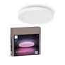 Philips Hue Datura 600x600mm