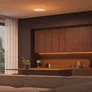 Philips Hue Datura 395mm