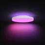 Philips Hue Datura 395mm