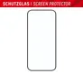 DISPLEX Real Glass FC iPhone 15/15 Pro