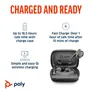 Poly Voyager Free 60+ UC M Carbon Black Earbuds + BT700 USB-C Adapter + Touchscreen-Ladeetui