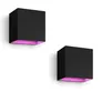 Philips Hue White & Color Ambiance Resonate Wandleuchte Outdoor • einstrahlig 2er Pack