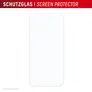 DISPLEX Smart Glass iPhone 16 Plus