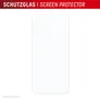 DISPLEX Real Glass + Case iPhone 16 Plus