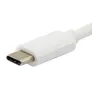 EQUIP 133462 USB-C auf VGA (HD15), USB-A, 60W USB PD Adapter