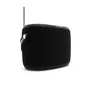 Pure Woodland wasserdichter Outdoor-Lautsprecher mit FM/DAB+ Radio, schwarz