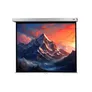 celexon Leinwand Rollo Professional Plus 160 x 120 cm