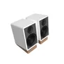 Onkyo GX30-ARC Powered Monitors weiß