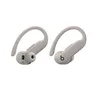 Beats Powerbeats Pro 2 Wireless In-Ear Kopfhörer treibsand
