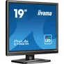 iiyama ProLite E1980S-B1 19 Zoll SXGA TN LED 5:4 75 Hz Office Monitor