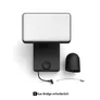 Philips Hue Secure Flutlichtkamera
