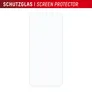DISPLEX Real Glass Xiaomi 15