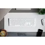 Alogic Echelon Bluetooth Wireless Keyboard (Deutsch) weiß Tastatur
