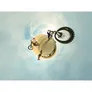 GoPro MAX 360 (2025) Action Cam wasserdicht